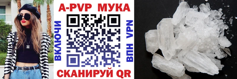 А ПВП крисы CK  Сунжа 