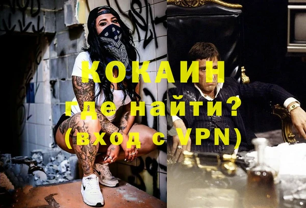 соль ск Арсеньев