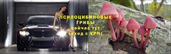 круглые Аркадак