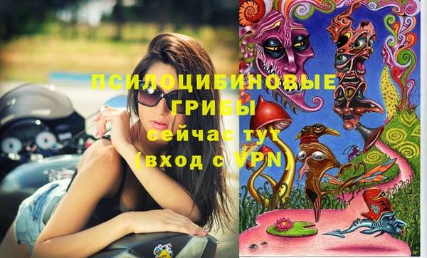 круглые Аркадак