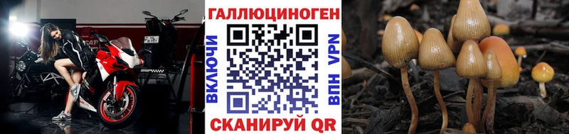 Галлюциногенные грибы GOLDEN TEACHER  Сунжа 